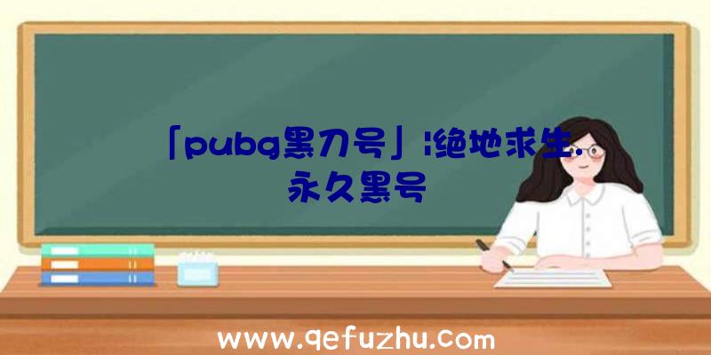 「pubg黑刀号」|绝地求生.永久黑号